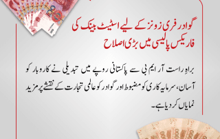 Foreign exchange regulations for investors in Gwadar Free Zone